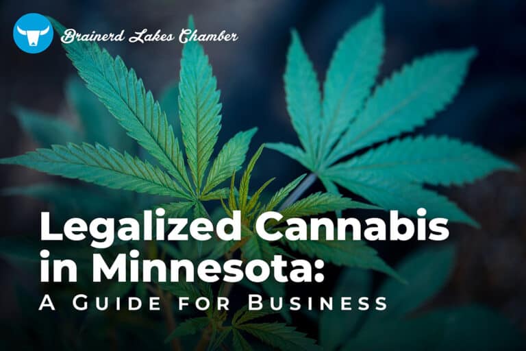 Photo of several large, green cannabis plants with a heading on top in white letters, Legalized Cannabis in Minnesota: A Guide for Business
